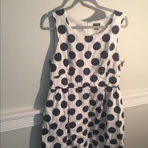 JCrew Navy Blue Polkadot Dress